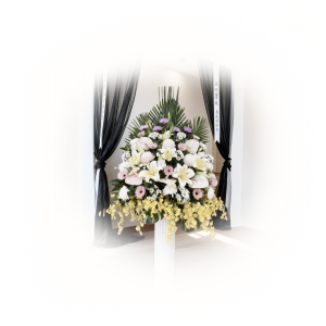 蓮花 B